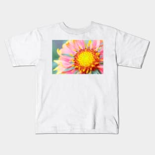 Firewheel (Gaillardia pulchella) (B760/1741) Kids T-Shirt